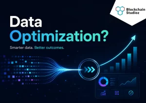 What is Data Optimization?